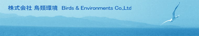  ފ@Birds & Environments Co.,Ltd
